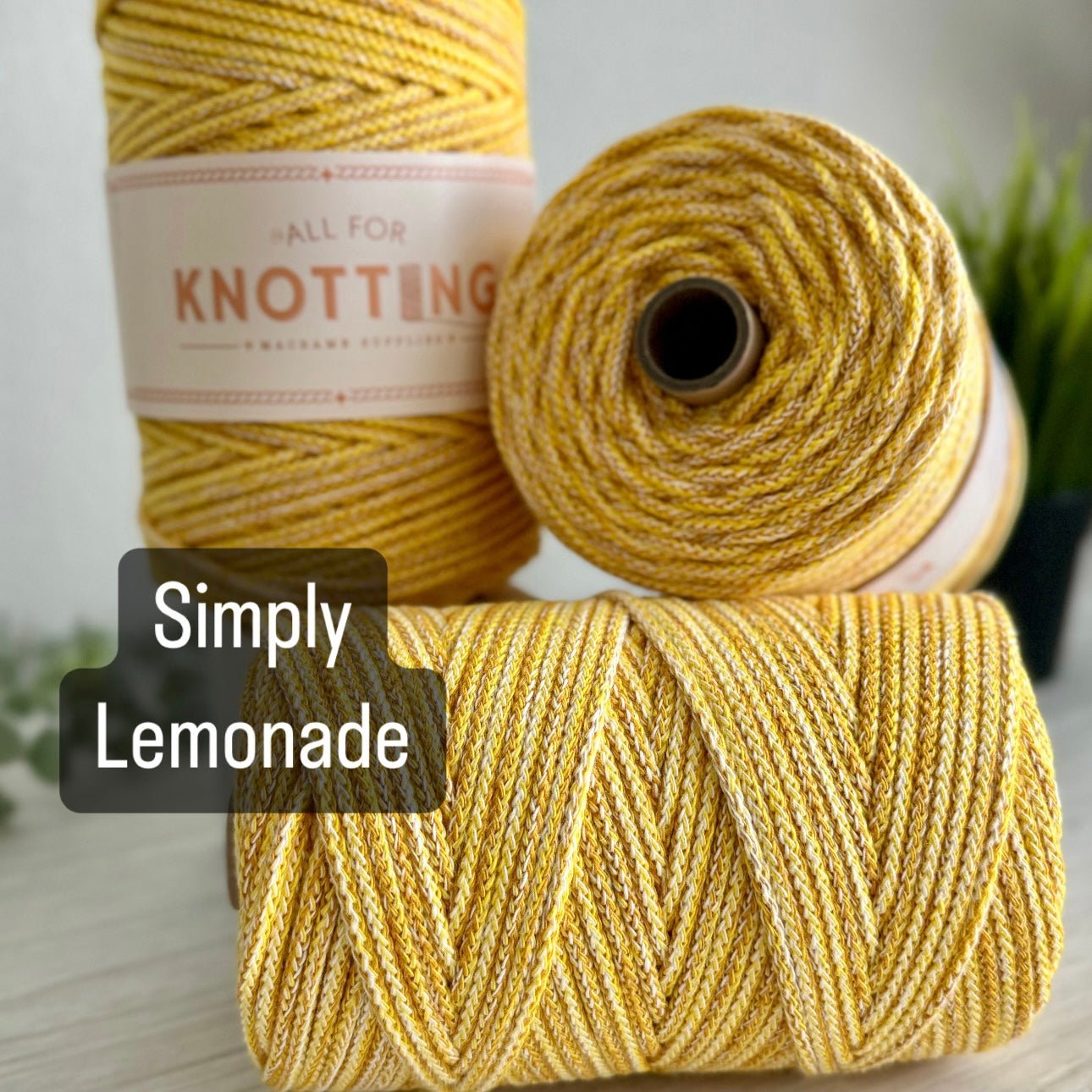 AFK Braided Cord MIX Colors | 8 Fun Colors - All for Knotting LLC